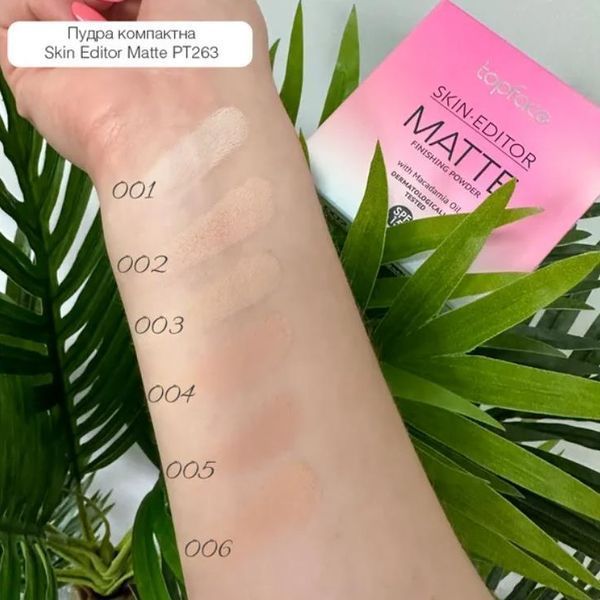Пудра для обличчя матова Topface Skin Editor Matte Finishing Powder тон 01 tsemfp фото